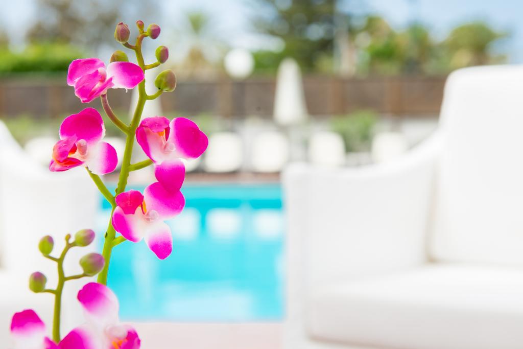 Sunny Village Playa del Ingles  Room photo